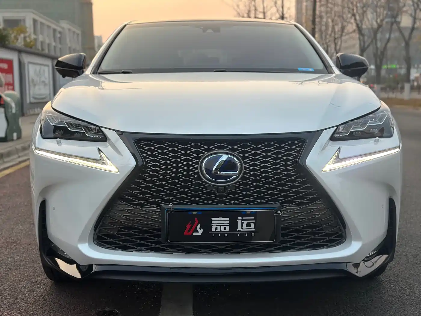 LEXUS NX