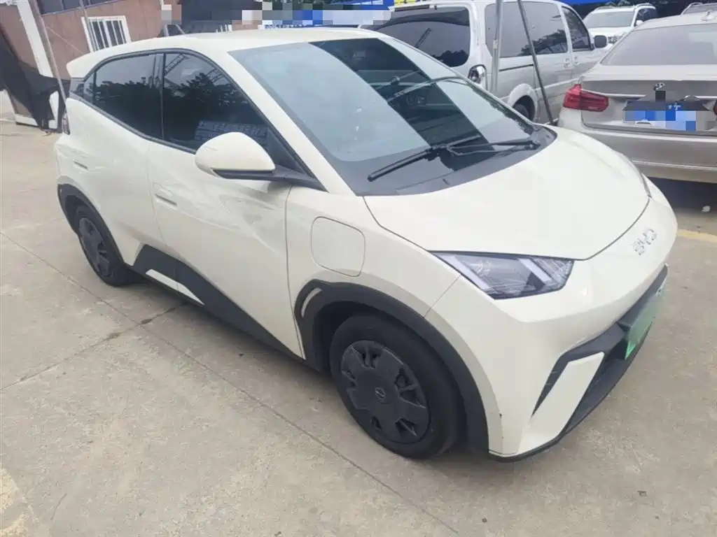 BYD Seagull 2024 Glory Edition 305km Vitality Edition фото 4