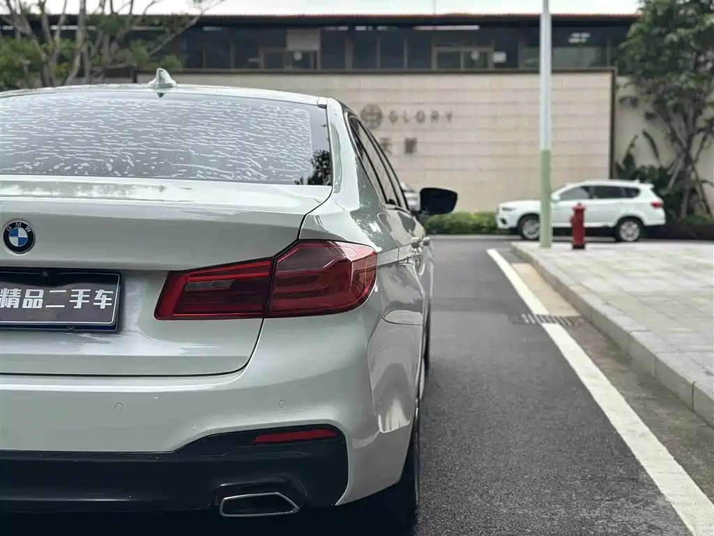 BMW 5 Series 2018 530Li Leading M Sport Package фото 10