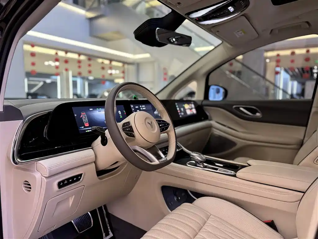 Voyah Auto Voyah Dreamer 2024 PHEV Extended Range Premium Edition фото 26