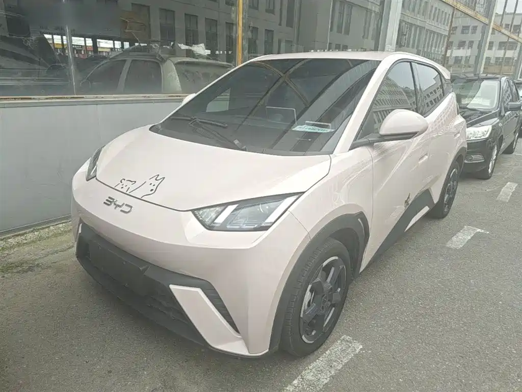 BYD Seagull 2024 Glory Edition 305km Freedom Edition