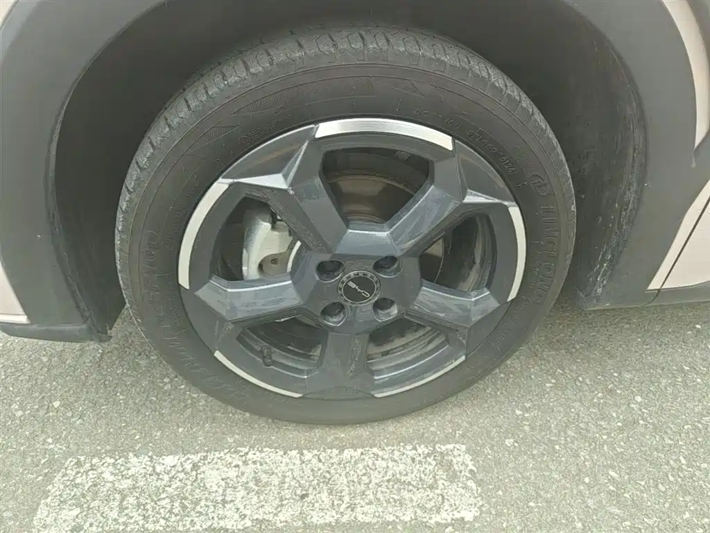 BYD Seagull 2024 Glory Edition 305km Freedom Edition фото 23