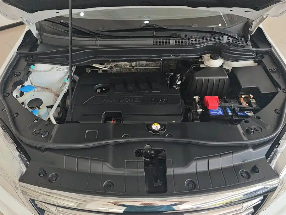 Haval H6 2018 Red Label Sport 1.5T Manual 2WD Elite фото 10