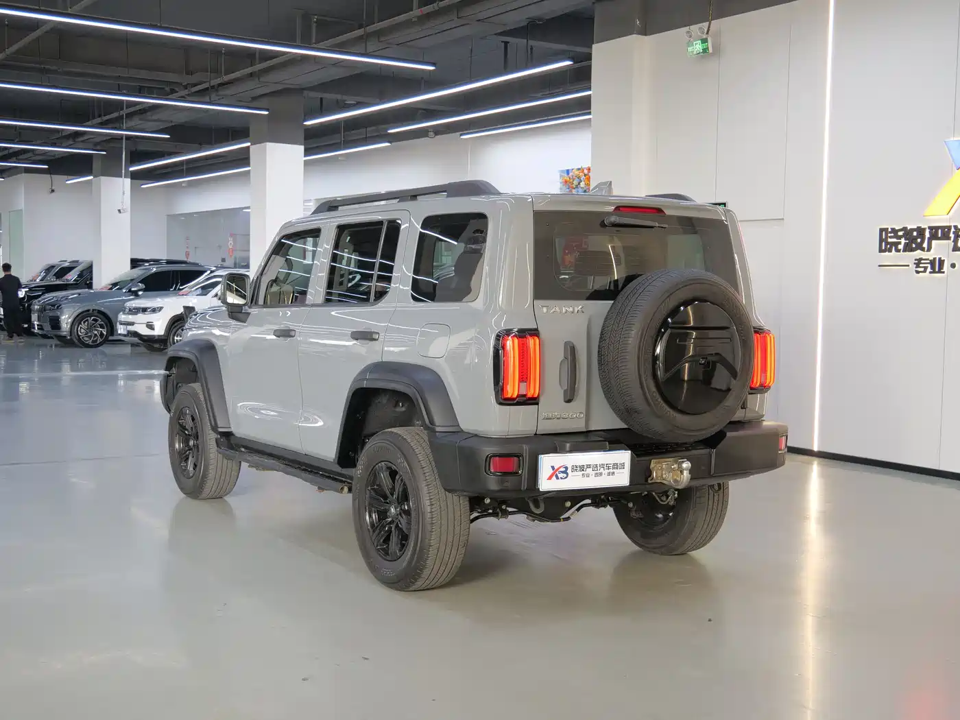 Tank 300 2021 Off-road Version 2.0T Conqueror фото 6
