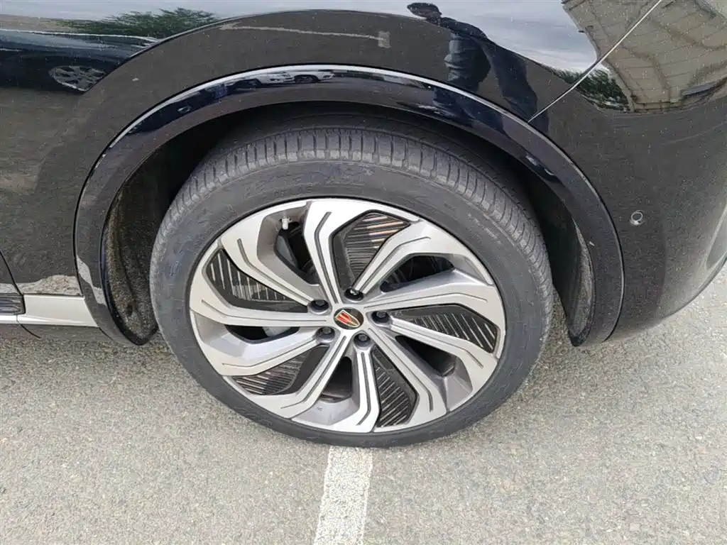Hongqi E-HS9 2022 660km Qi Ling Edition (4-seater) фото 14