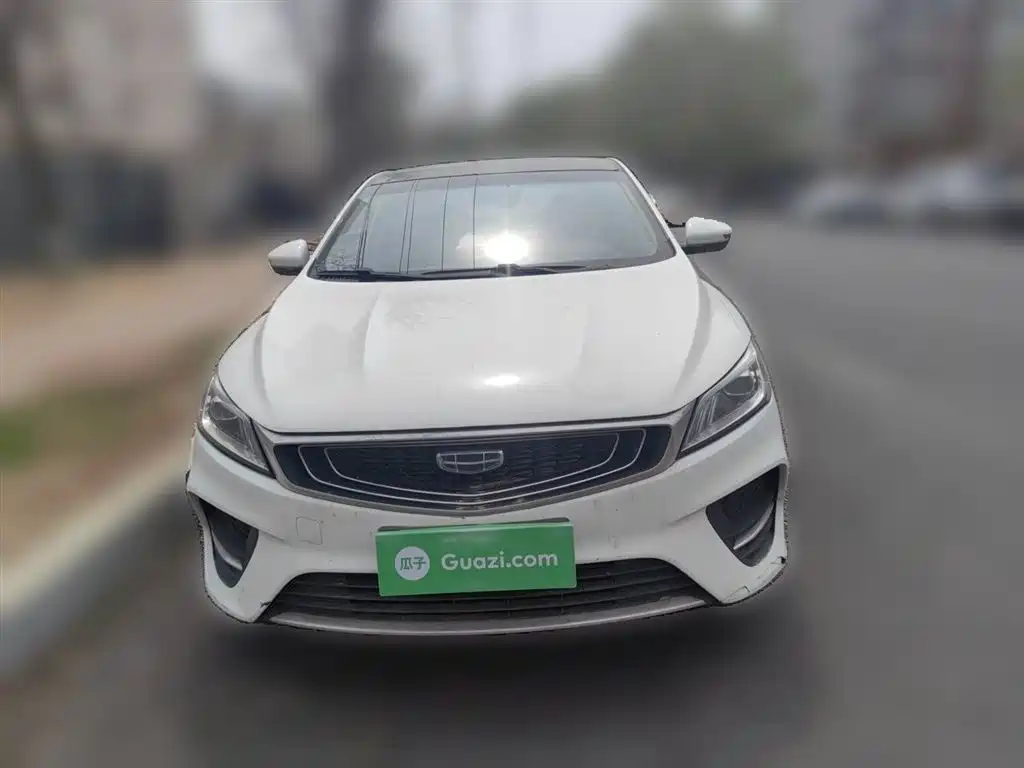 Фото 24 - Geely Binrui