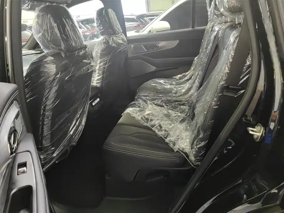 GAC Trumpchi Trumpchi ES9 2024 Model PHEV 143km Max фото 11