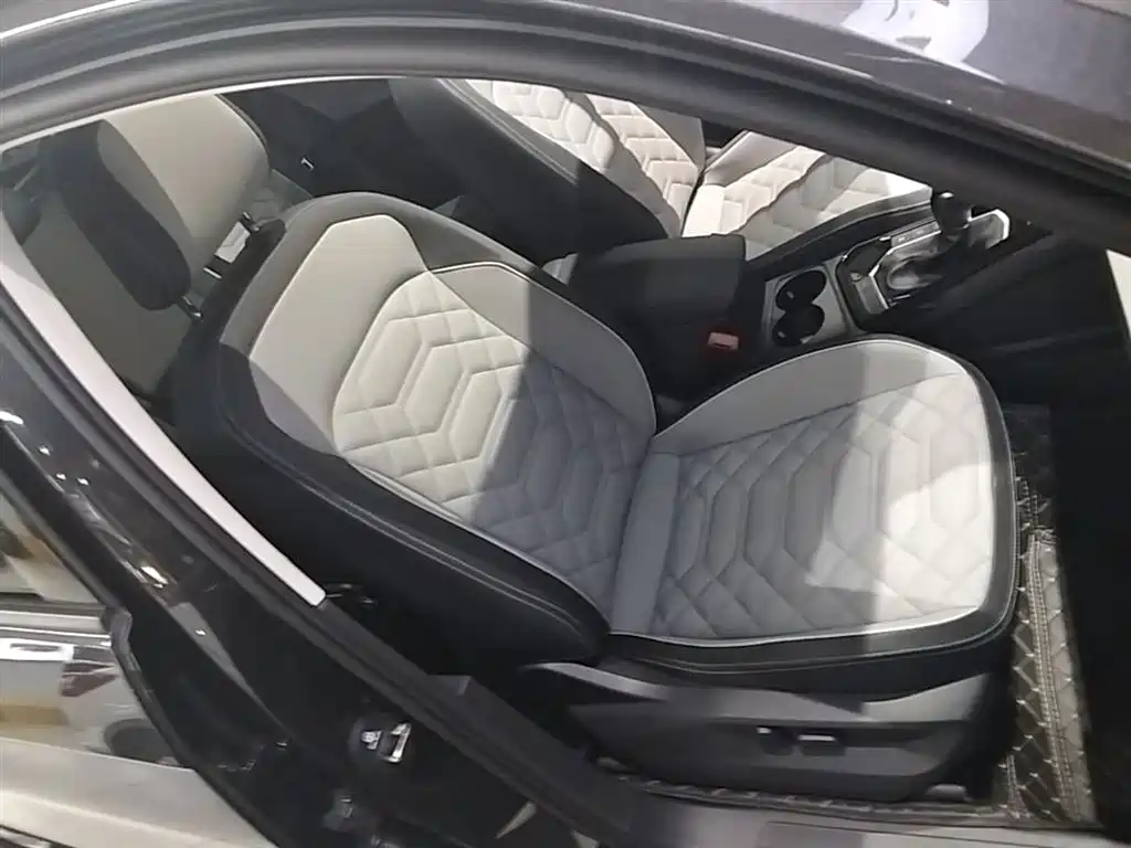 VOLKSWAGEN TANYUE