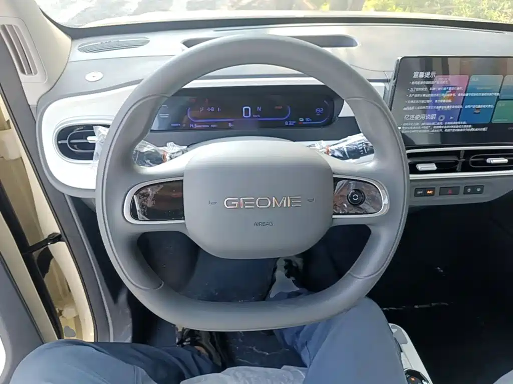 Geely Galaxy Panda 2026 2025 Panda mini 210km Vitality Bear