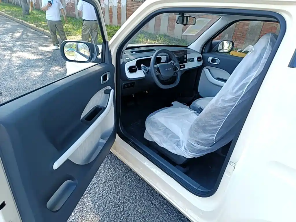 Geely Galaxy Panda 2026 2025 Panda mini 210km Vitality Bear