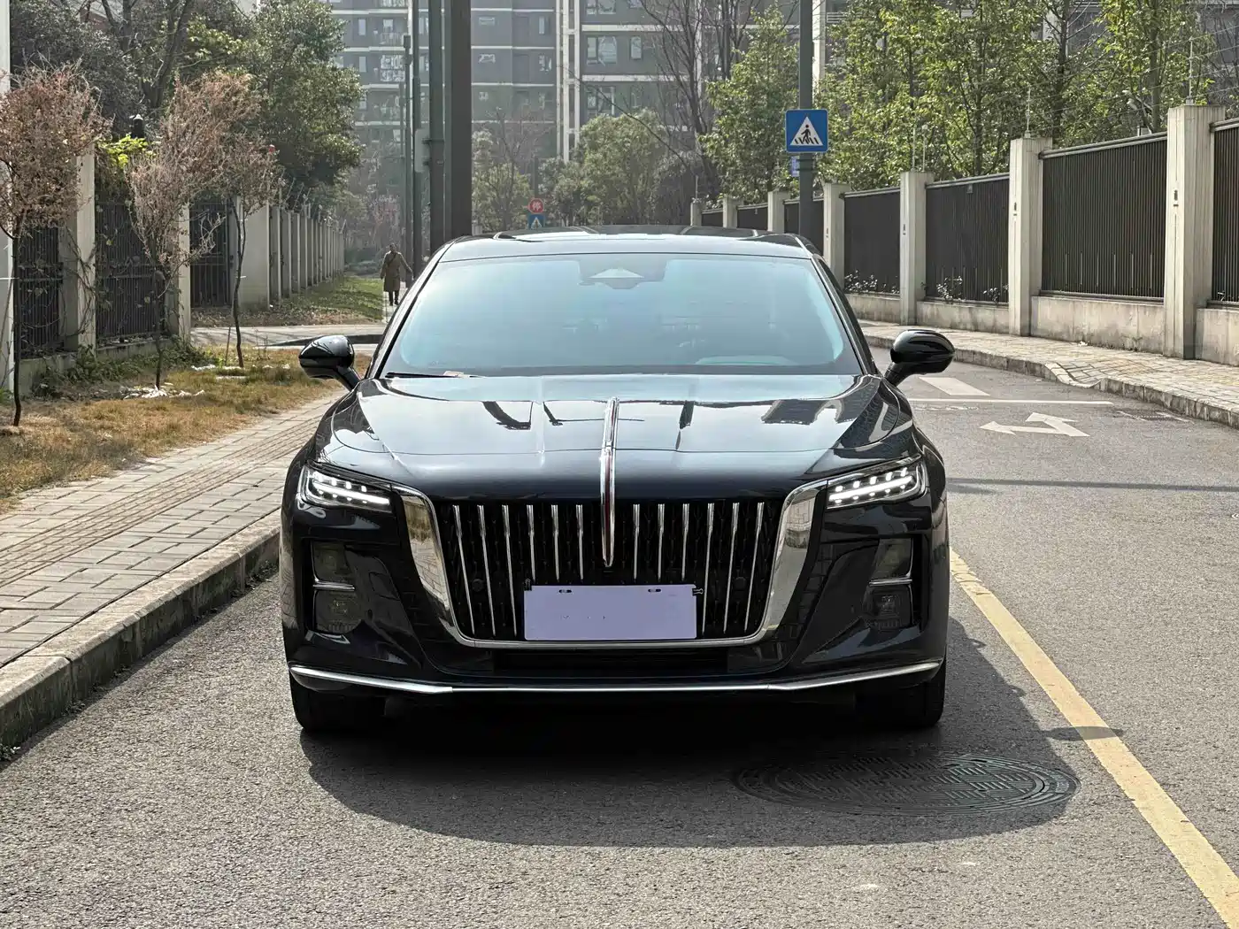 Hongqi H5 2023 2.0T Auto Smart Connect Flagship фото 3