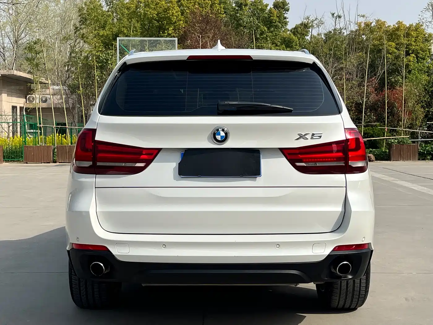 BMW X5 (Import) 2014 xDrive35i Leading фото 6