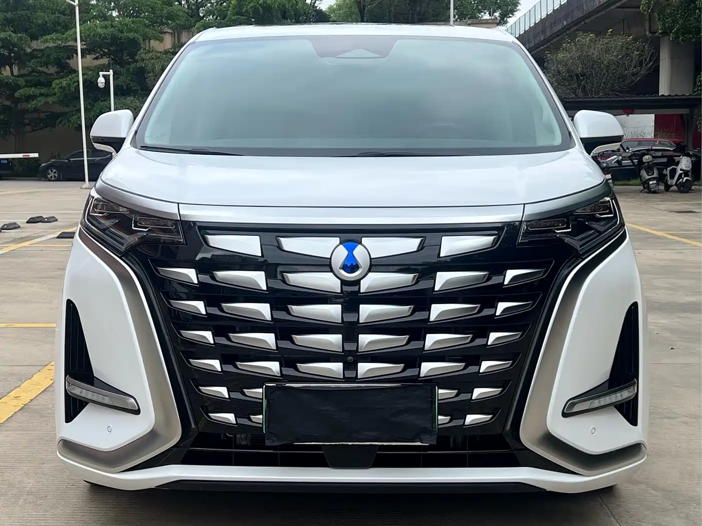Denza D9 2024 DM-i 980 AWD Flagship