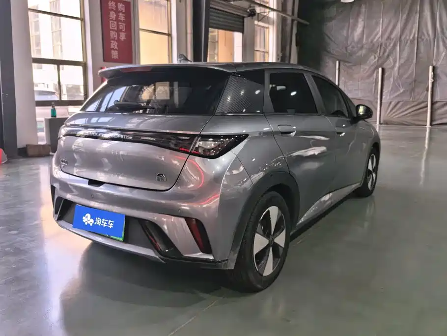 Фото 3 - BYD Dolphin
