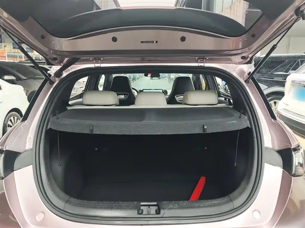BYD Dolphin 2021 Model 405km Fashion Edition фото 19