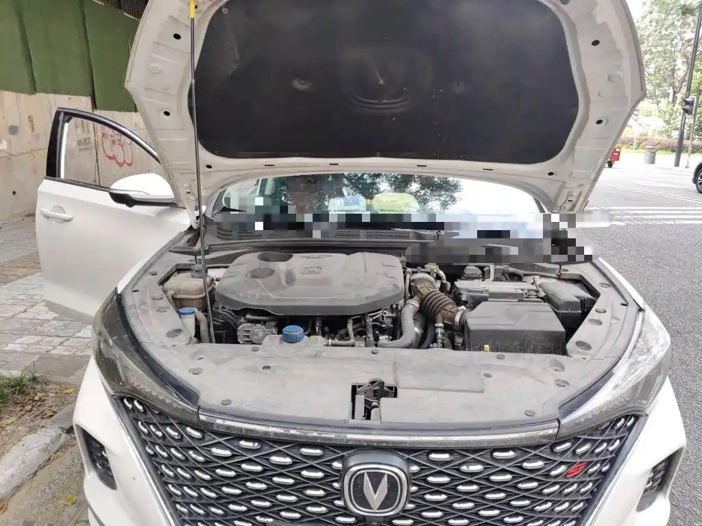 Фото 21 - Changan Eado
