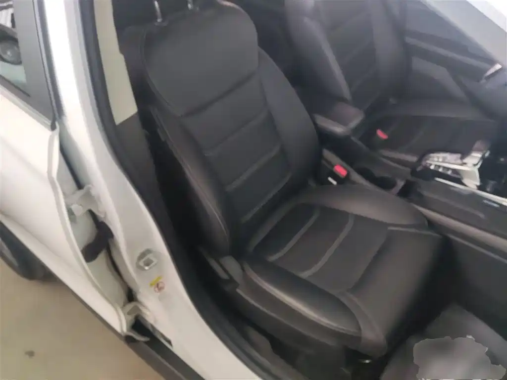 BYD Yuan New Energy 2019 EV535 High Energy Navigation Edition фото 25