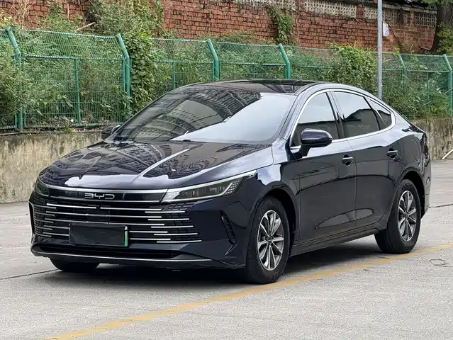  BYD Destroyer 05 2024 Glory Edition DM-i 55KM Luxury