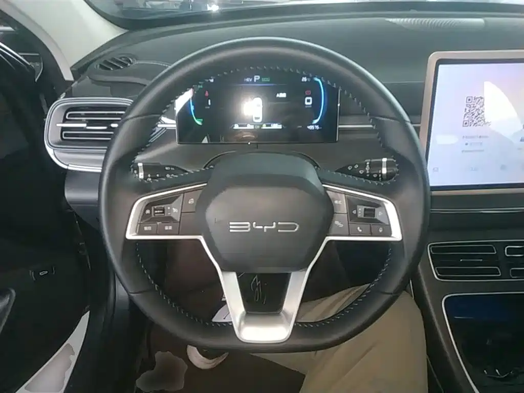 BYD Destroyer 05 2024 Glory Edition DM-i 55KM Luxury фото 11