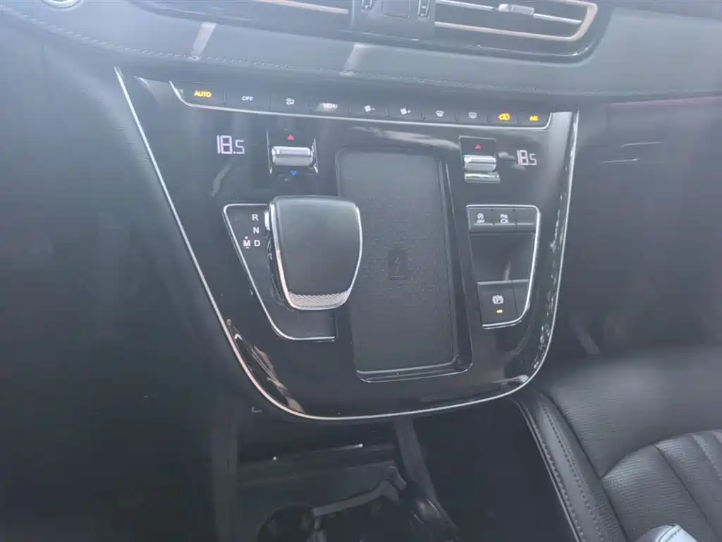 Hongqi HQ9 2023 2.0T Smart Connect Flag Enjoy Edition фото 14