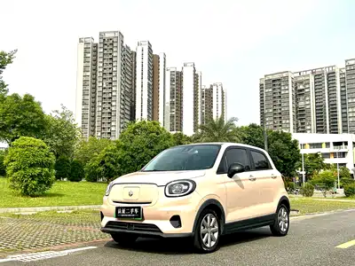 Leapmotor T03