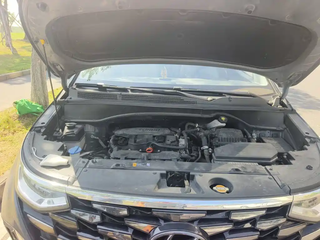 Hyundai Custo 2021 2021 270TGDi Premium LUX