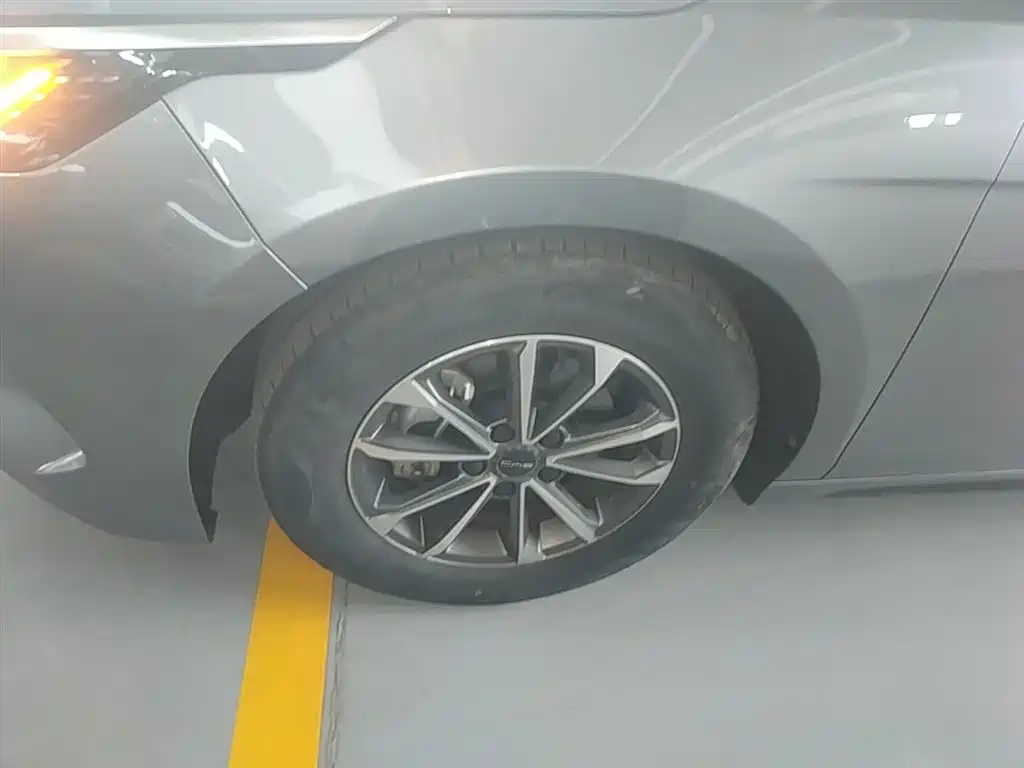 BYD Destroyer 05 2024 Glory Edition DM-i 55KM Luxury фото 23
