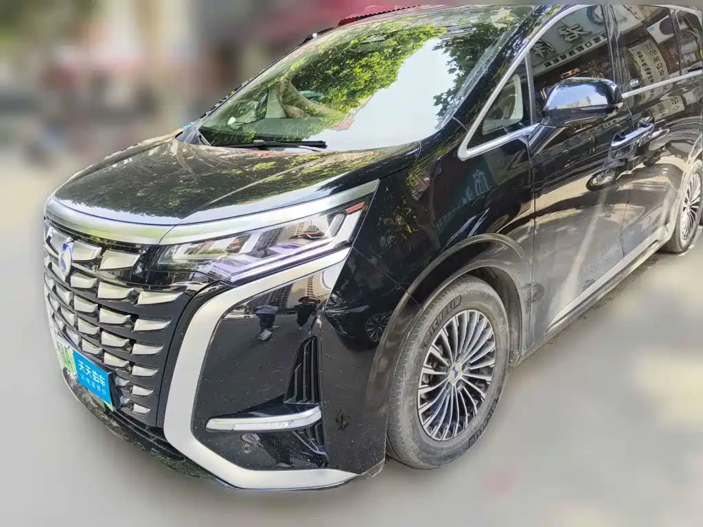DENZA D9