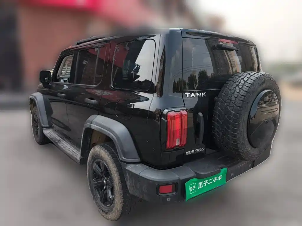 Tank 300 2021 2021 Off-road Version 2.0T Conqueror