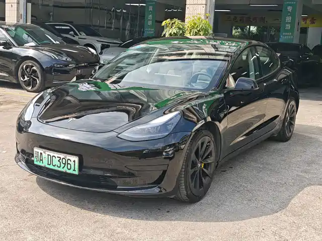 Tesla Model 3 2021
