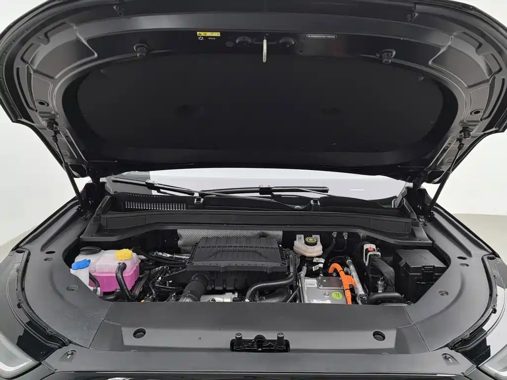 Chery Fengyun Fengyun T9 2026 2025 120 Long Range Honor 7-seater LFP
