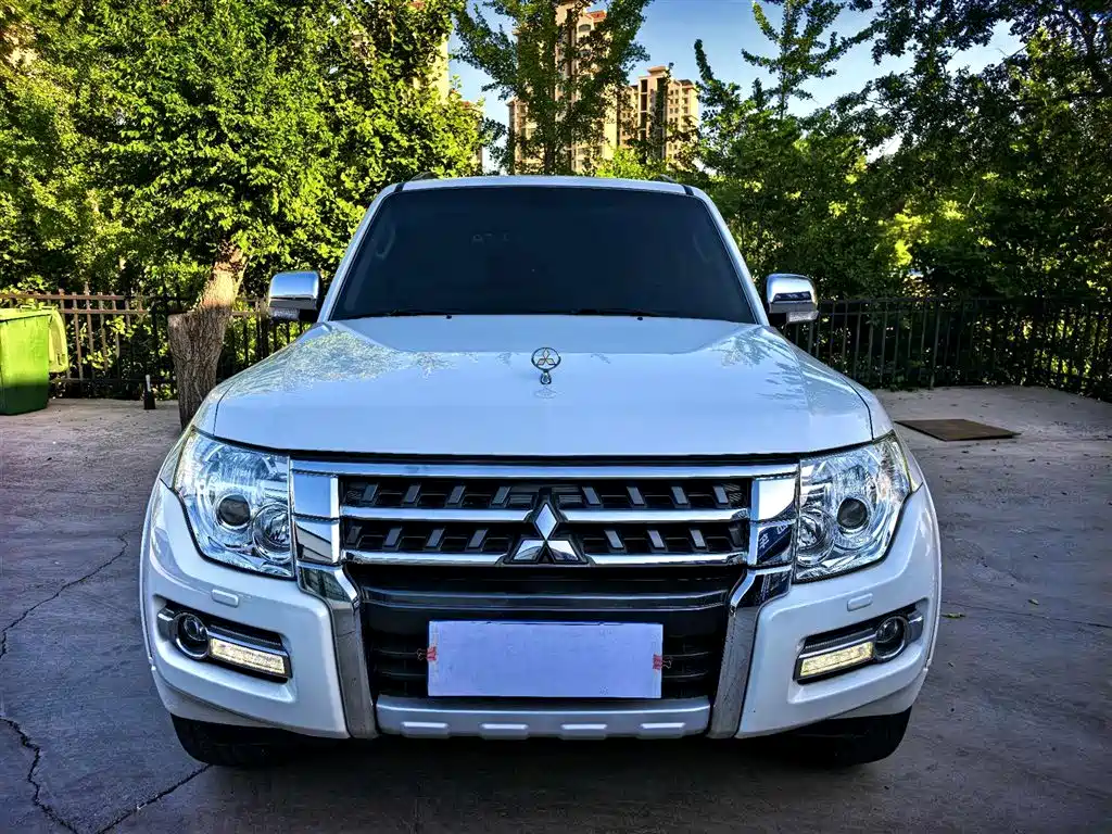 Mitsubishi Pajero (Import) фото 2
