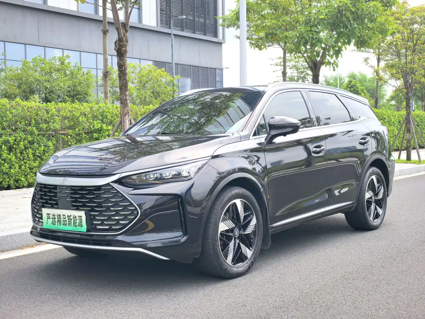 BYD Tang New Energy 2024