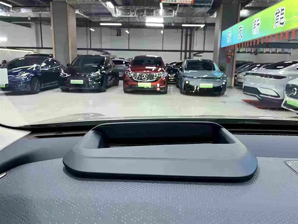 ZEEKR X 2023 2023 RWD YOU Edition 4-seater