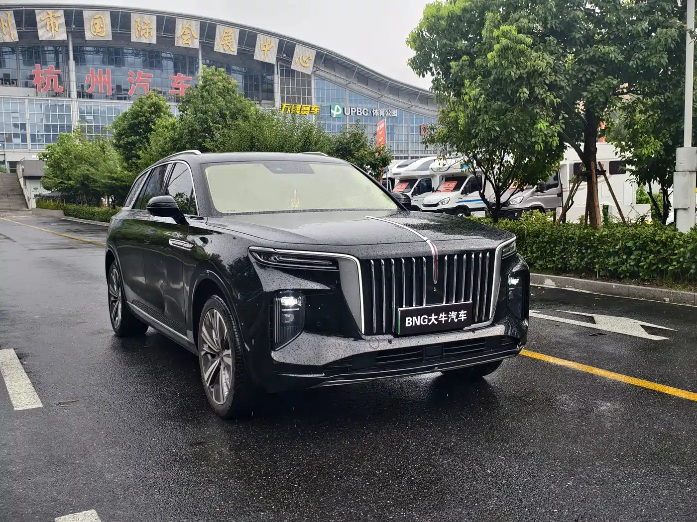 Фото 3 - Hongqi E-HS9