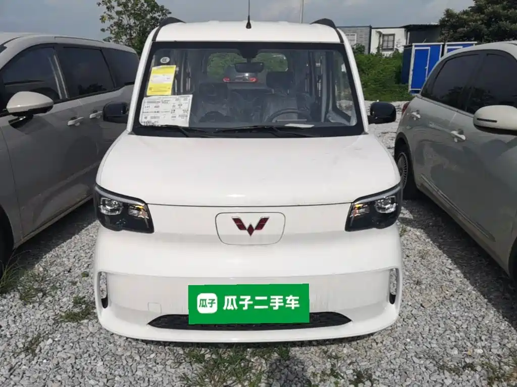 Wuling Motors Wuling Zhiguang NEV 2026 2025 Model 305km Base Version