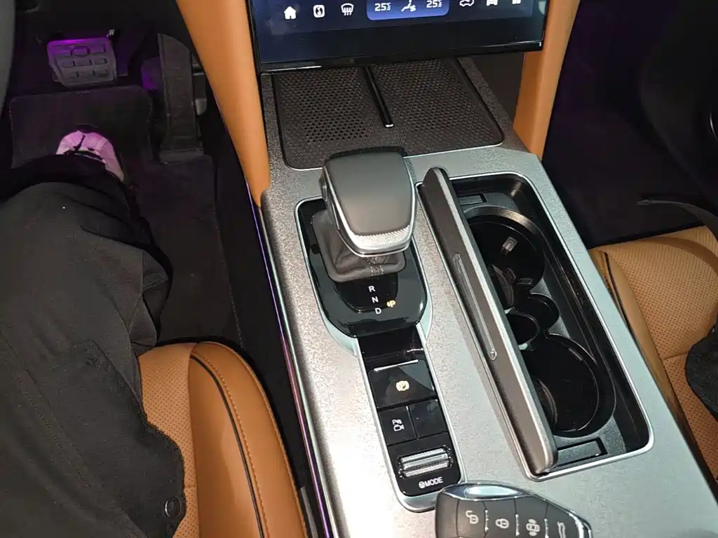 Hongqi HS7 PHEV 2025 2025 2.0T PHEV 4WD 6-Seater Commemorative Edition