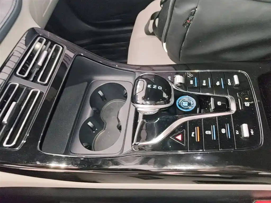 BYD Qin PLUS 2023 Champion Edition DM-i 55KM Leading фото 14