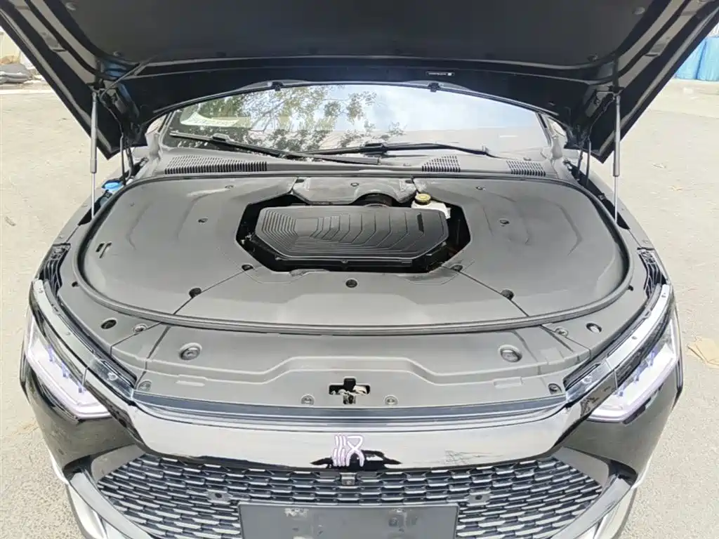 BYD Han 2020 DM AWD Performance Premium фото 20