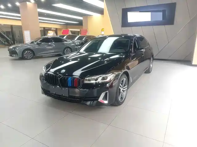 BMW 5 530Li, Лидер, Люкс-пакет