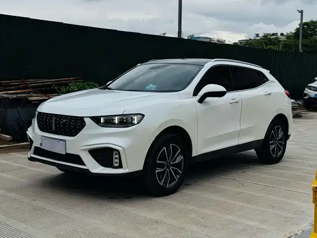 WEY VV5 2020 1.5T 2WD Smart Pioneer