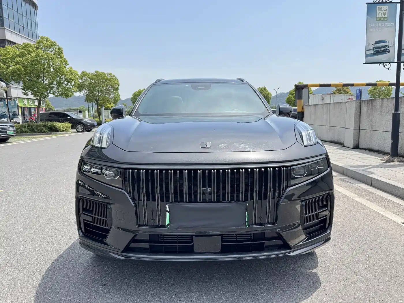 Lynk & Co 09 2021 2.0T Halo 7-seater фото 2