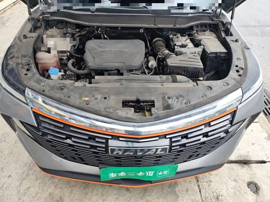 Haval Shenshou 2022 2022 1.5T Smart Leader Edition