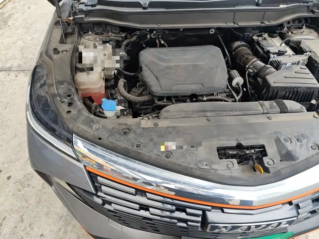 Haval Shenshou 2022 2022 1.5T Smart Leader Edition