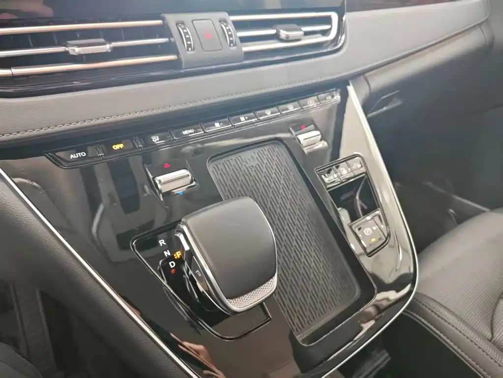 Hongqi HQ9 PHEV 2024 Model 2.0T AWD Luxury Edition фото 21