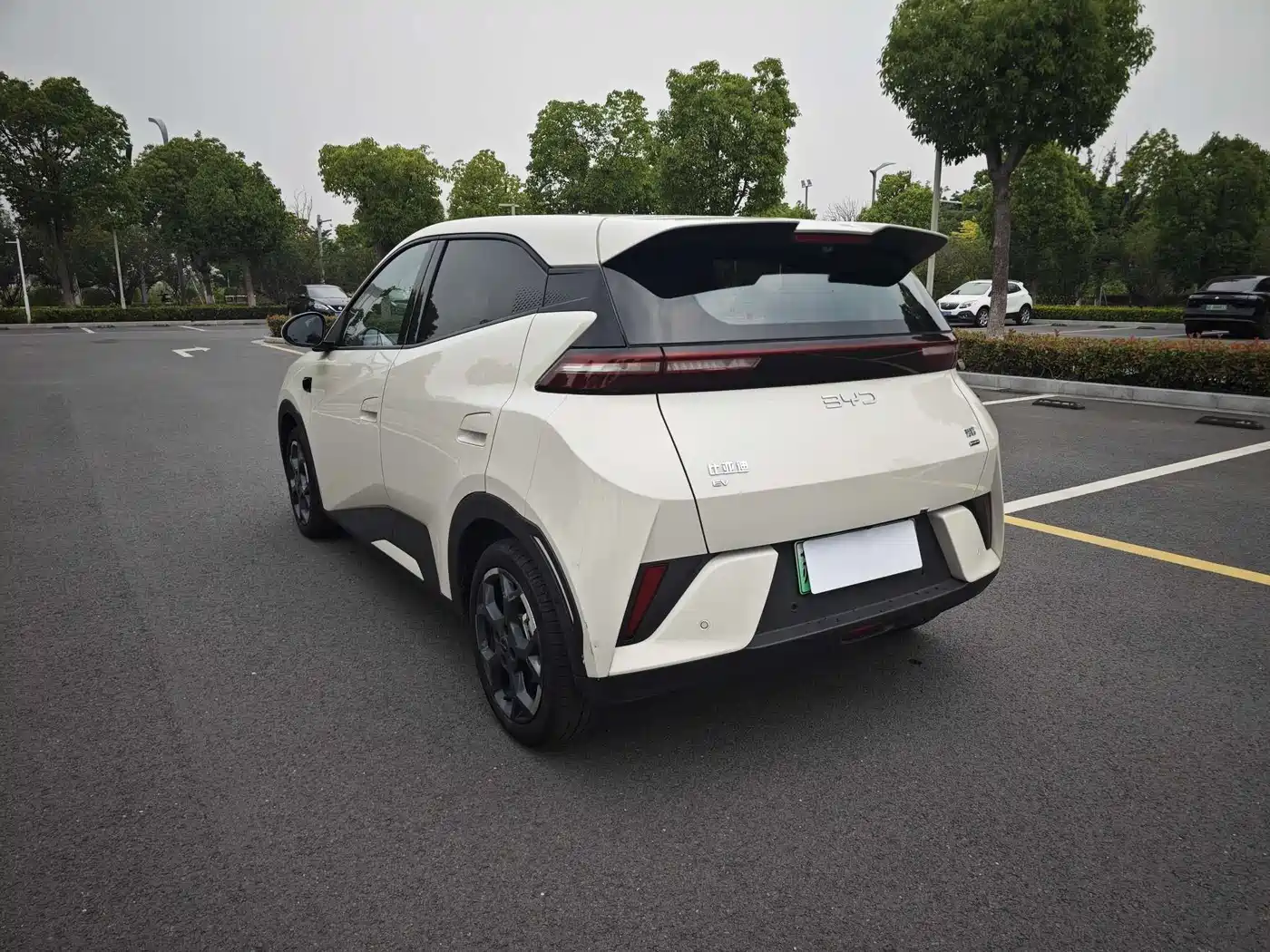 BYD Seagull 2025 Smart Driving Edition 405km Flying Edition фото 5