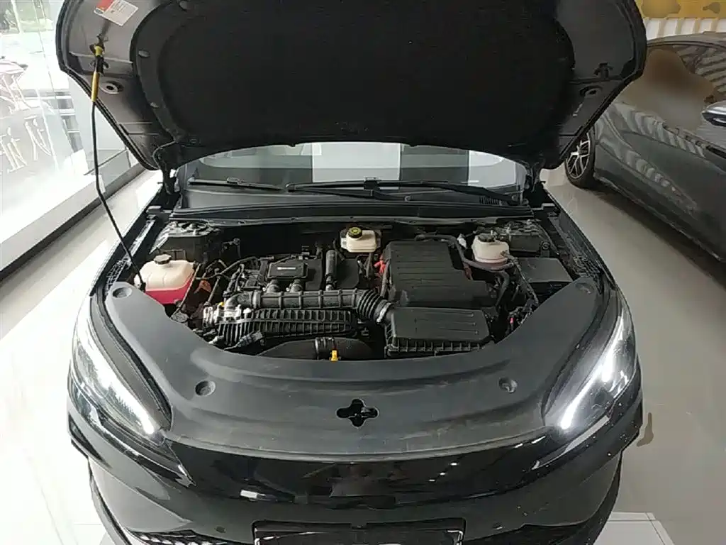 BYD Hai Bao 05 DM-i 2025 DM-i Smart Driving Edition 120KM Flagship фото 20