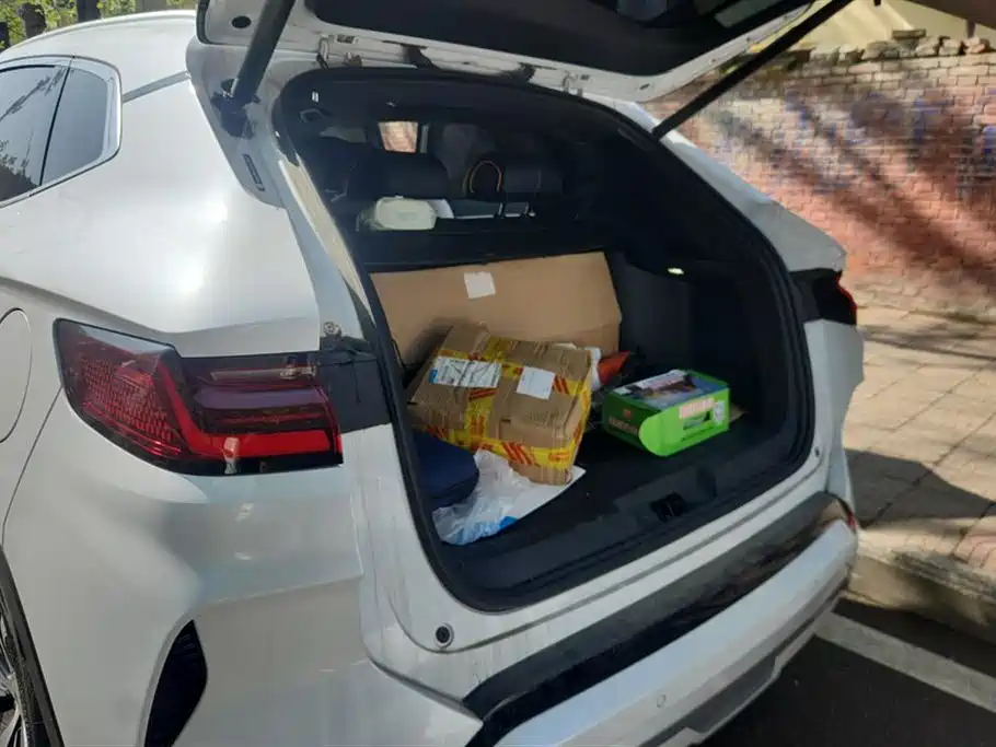 BYD SONGJIANG NEW ENERGY