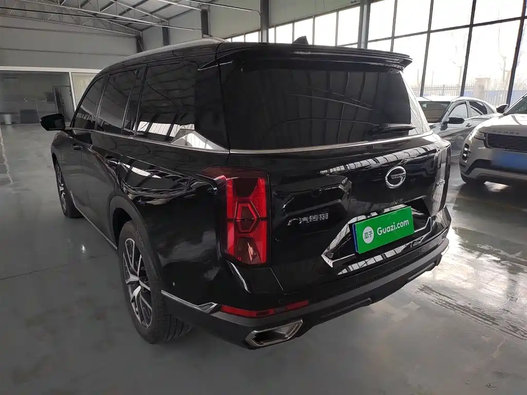 GAC Trumpchi Trumpchi GS8 2022 Pilot Series 2.0TGDI 2WD Premium Edition (7-Seater) фото 23