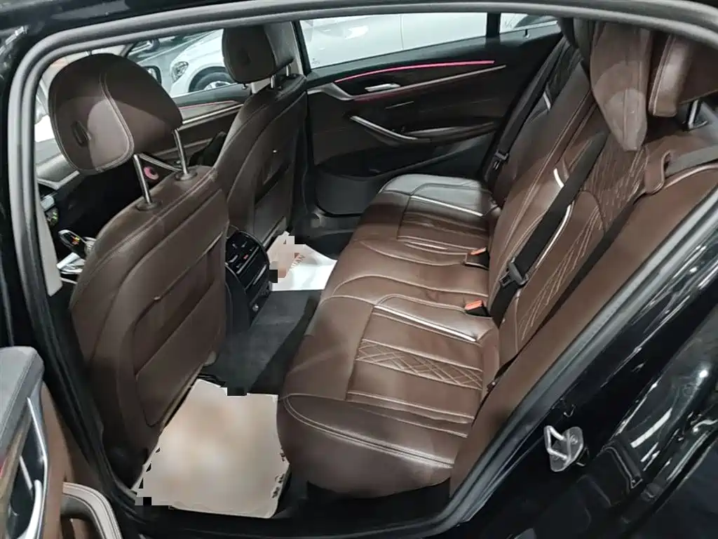 BMW 5 Series New Energy 2019 Facelift 530Le Luxury Package фото 17
